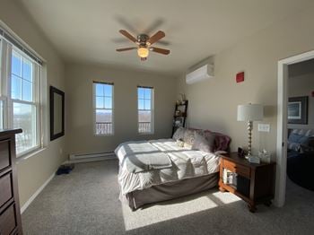Ceiling fan